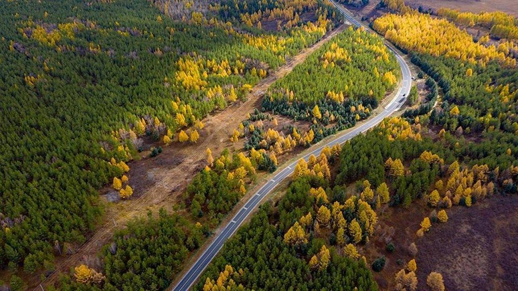 China cria maior floresta artificial do mundo em um deserto