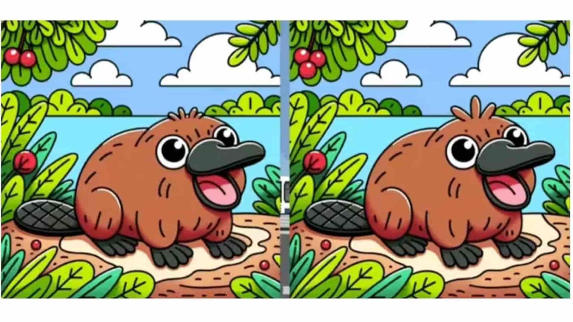 teste visual encontre os erros 4