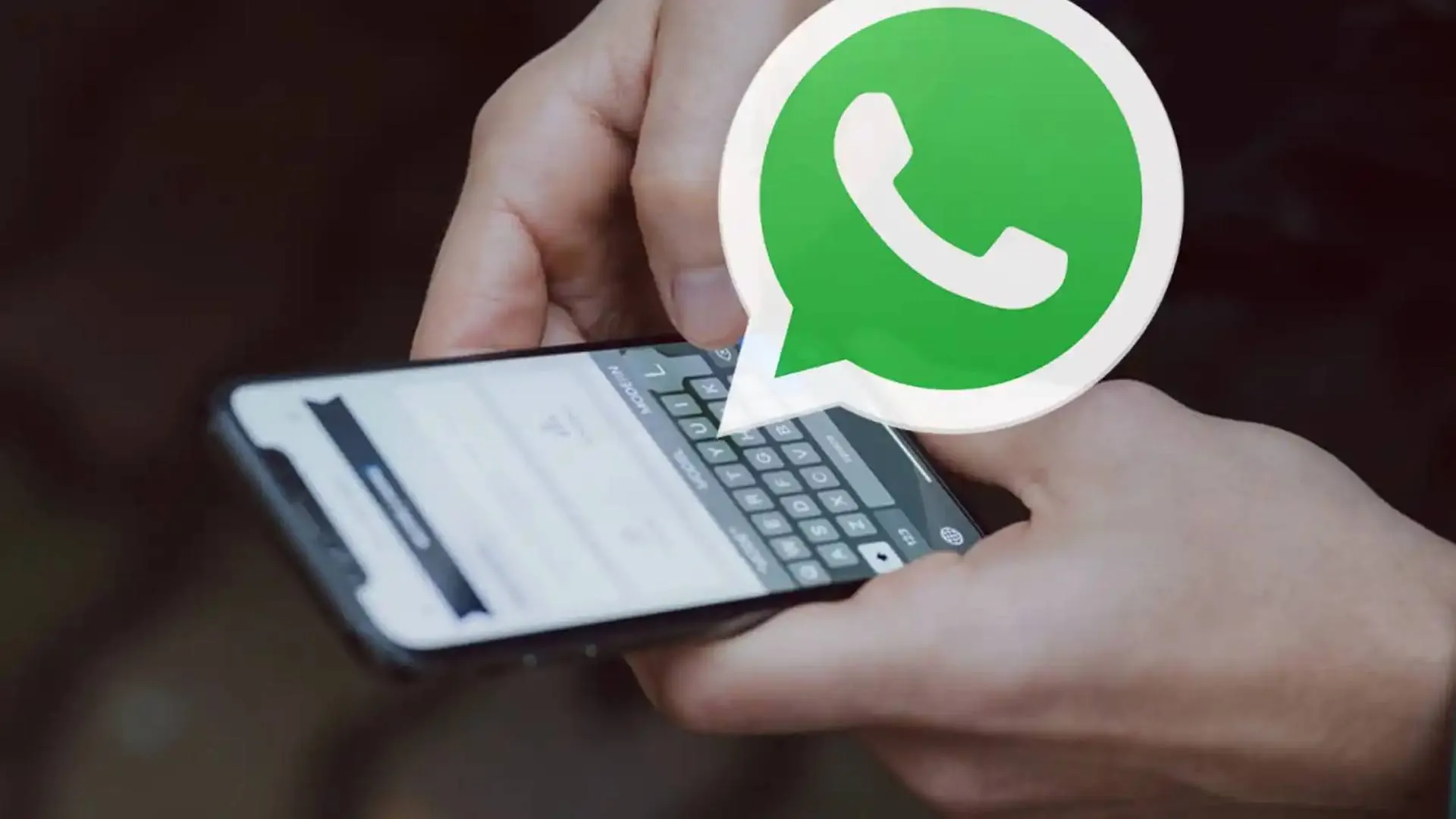 nova reação whatsapp 24 nova reação whatsapp 24