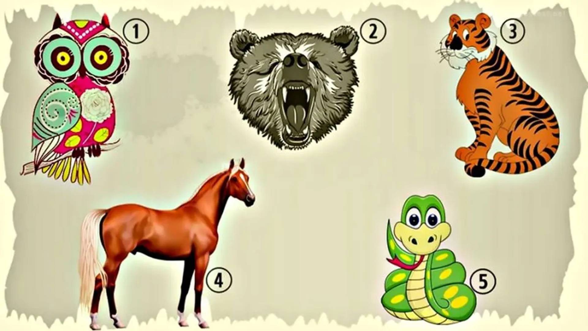 teste teste do animal
