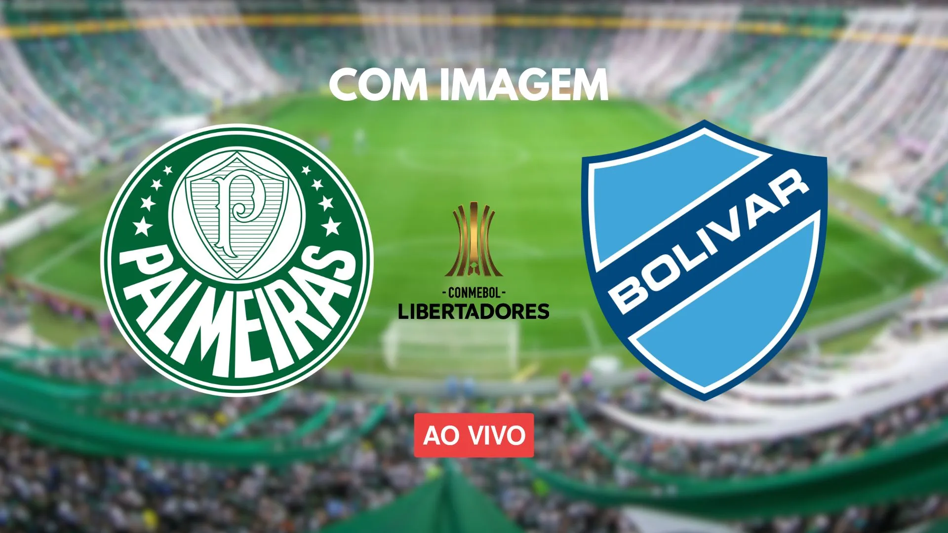 assistir Palmeiras x Bolívar ao vivo com imagens assistir Palmeiras x Bolívar ao vivo com imagens