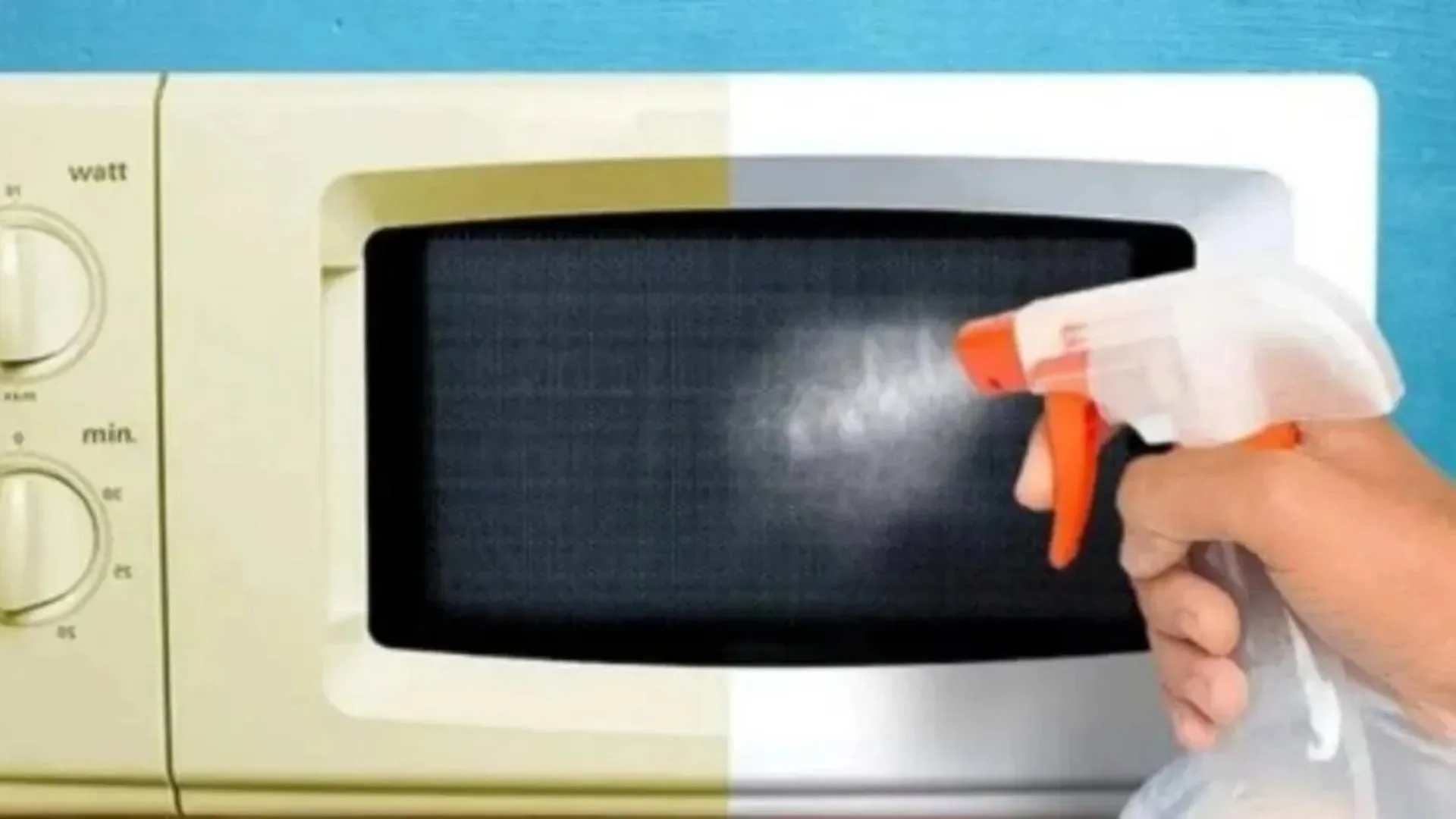 Dica caseira eletrodomésticos brancos limpeza micro-ondas dicas caseiras 3