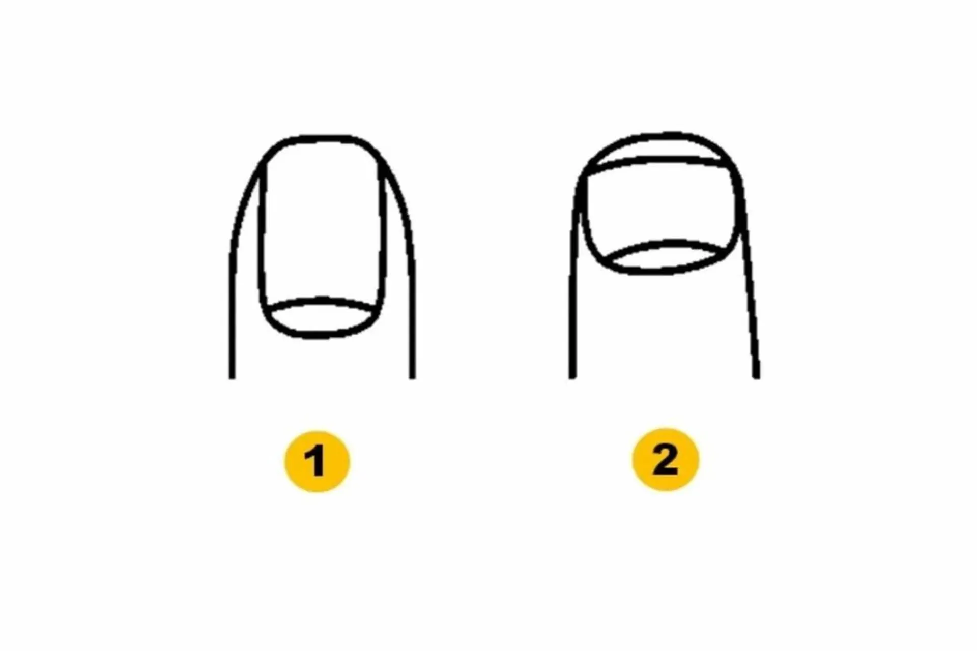 formato de unha no Teste de Personalidade teste de personalidade unha