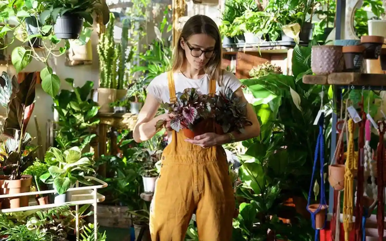 Mulher com dom de cuidar de muitas plantas em casa Mulher com dom de cuidar de muitas plantas em casa