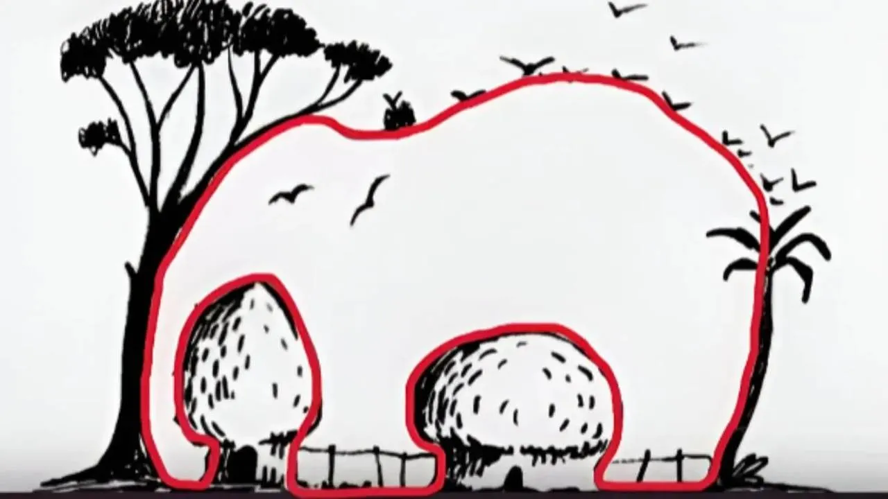 Quebra‑cabeça visual do elefante escondido Quebra-cabeça visual encontre elefante escondido